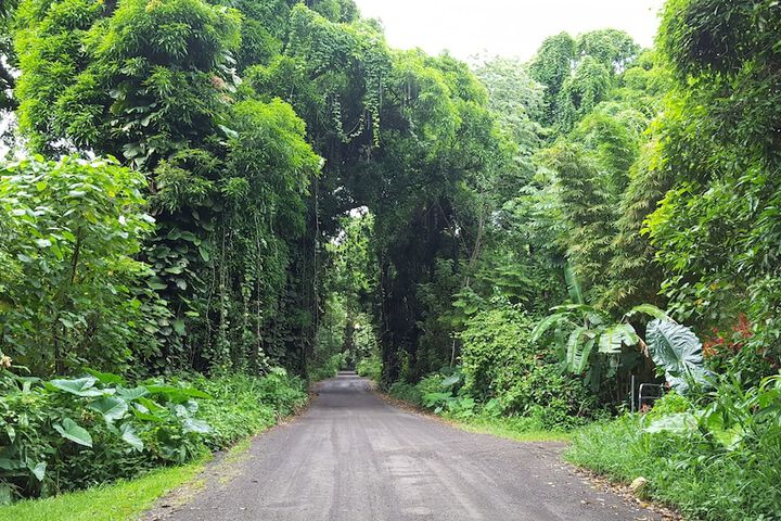 Property Grounds 16 of 24