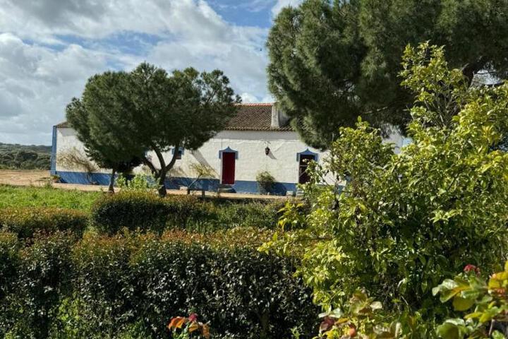 Herdade das Pintas