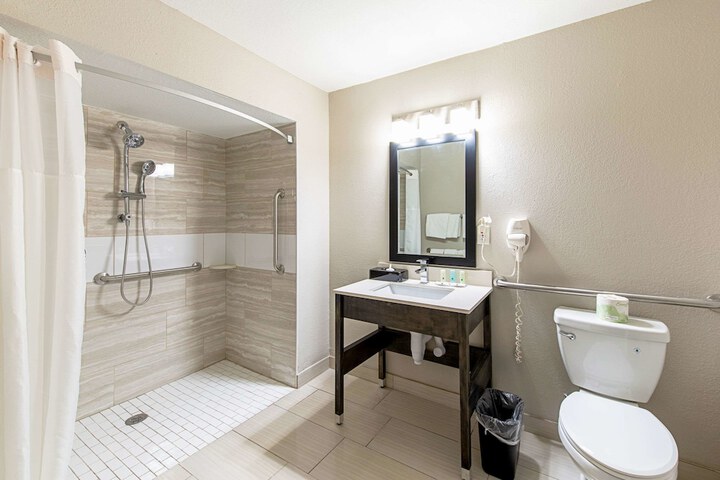 1 Queen Bed Accessible (8 of 10)