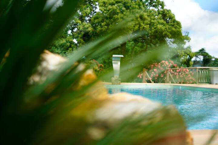 Pool 11 of 20