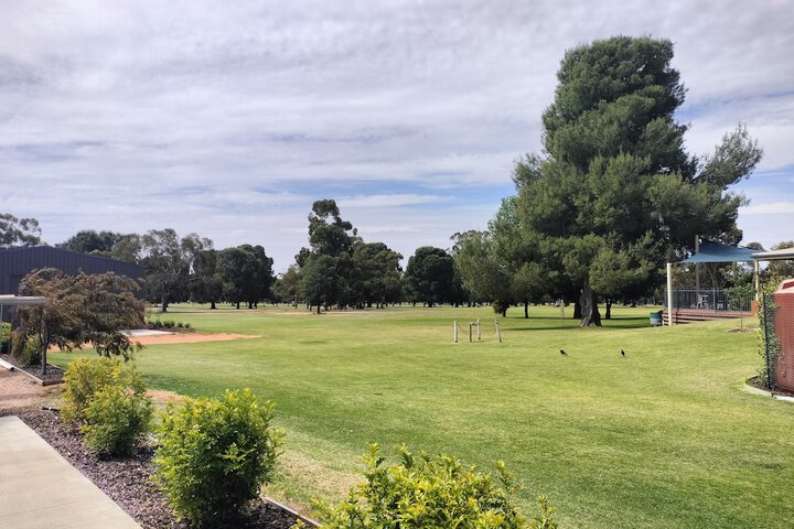 Golf 37 of 37