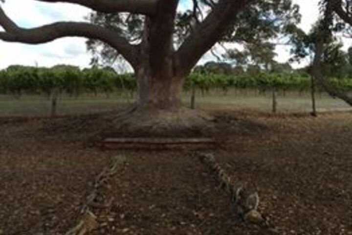 Outdoor Activities 27 of 49