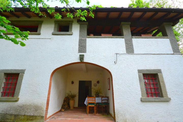 Photo 5
