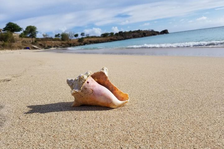 Beach 22 of 31