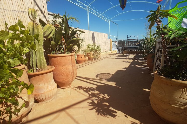 Terrace/Patio 20 of 24
