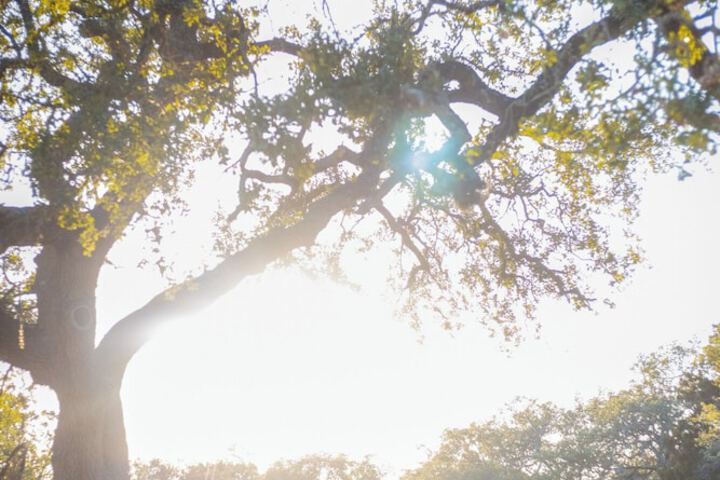 Hotel Interior 77 of 101