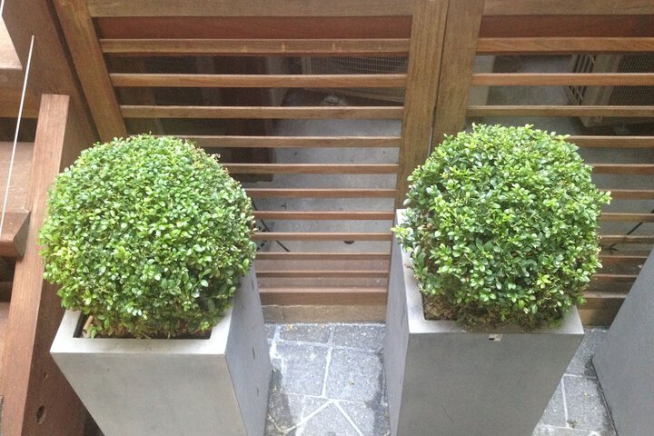 Terrace/Patio 50 of 52
