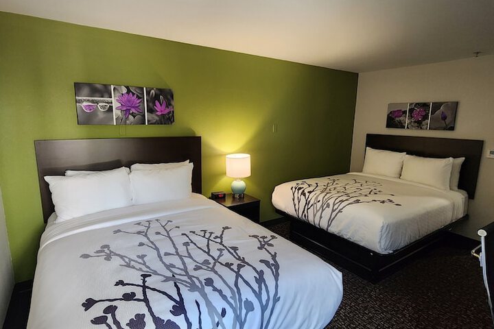 2 Queen Beds (4 of 12)