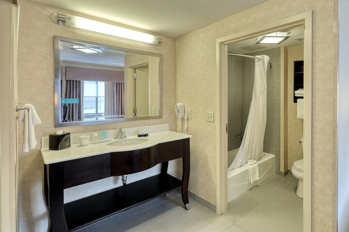 1 King Hearing Accessible Studio with Sofa Bed (17 of 19)