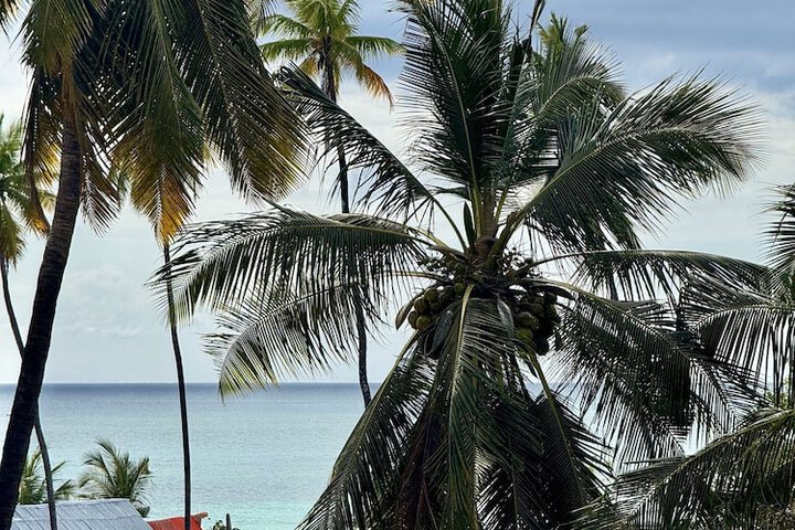 Beach 57 of 63