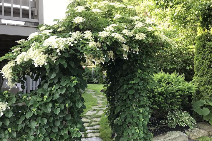 Hotel Exterior 56 of 63