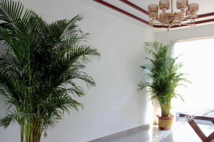Hotel Interior 12 of 22