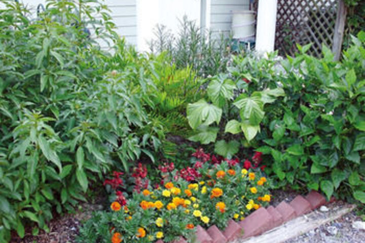 Hotel Exterior 10 of 30