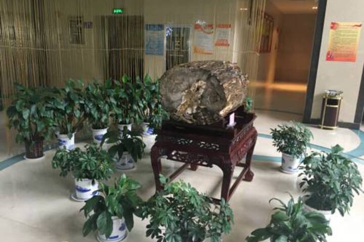 Nine Dynasty International Hotel
