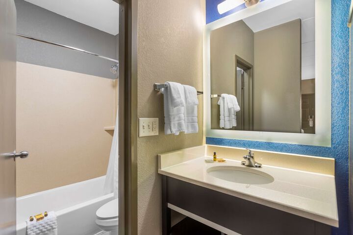 1 King Bed Exterior Entrance First Floor Microwave and Refrigerator WiFi Pet Friendly Room Full Breakfast (9 of 10)