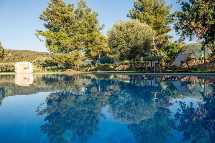 Pool 6 of 17