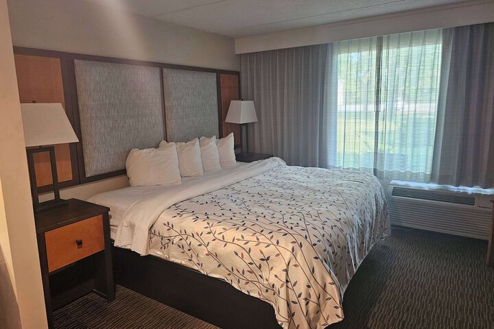 1 King Bed (1 of 5)