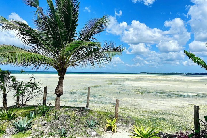 Beach 93 of 113