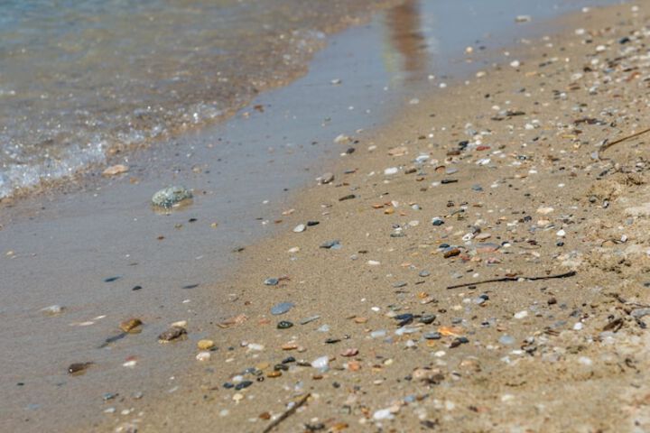 Beach 218 of 292