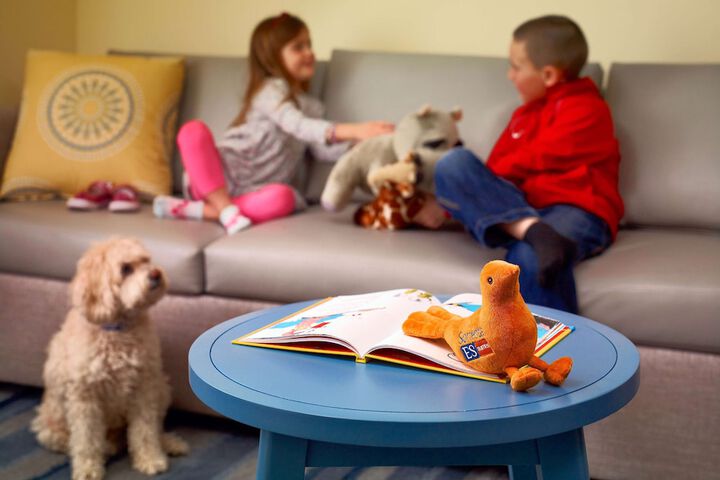 Children's play area - indoor