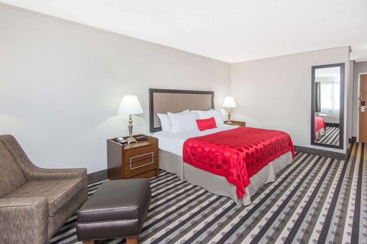1 King Bed Deluxe Room (5 of 13)
