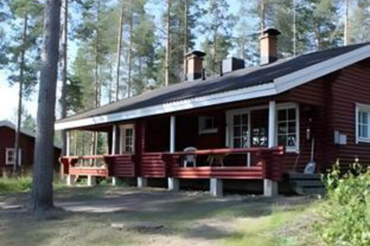 Photo of Punkaharju Resort