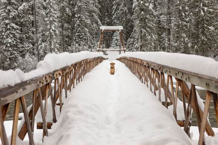 Outdoor Activities 254 of 292