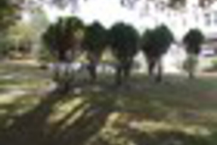 Property Grounds 221 of 246