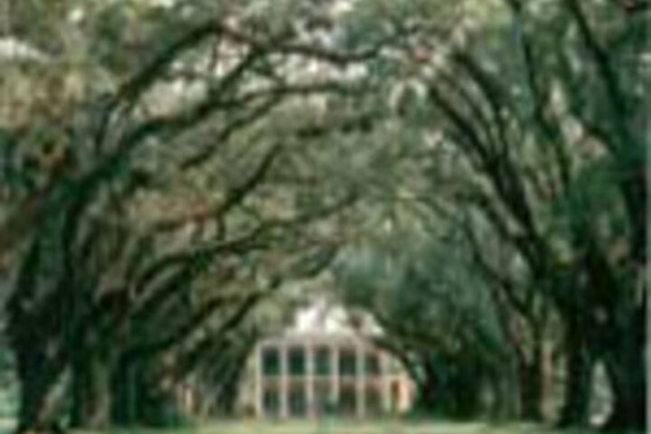 OAK ALLEY PLANTATION