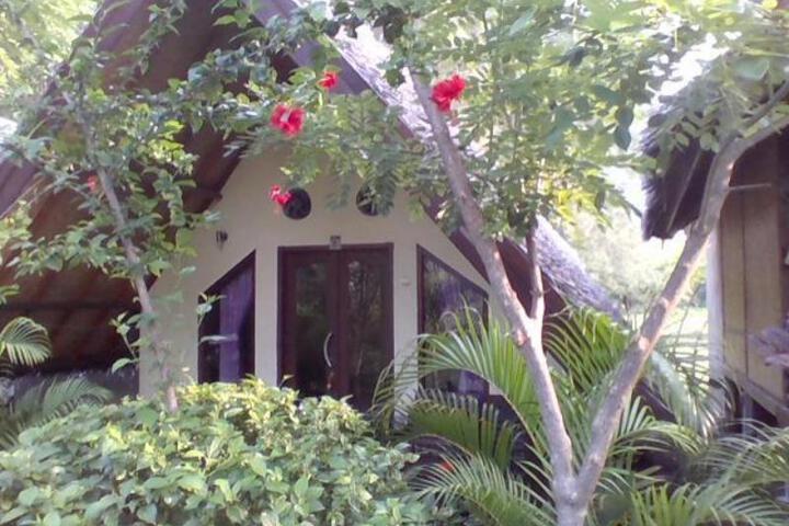 Tropicana Bungalows