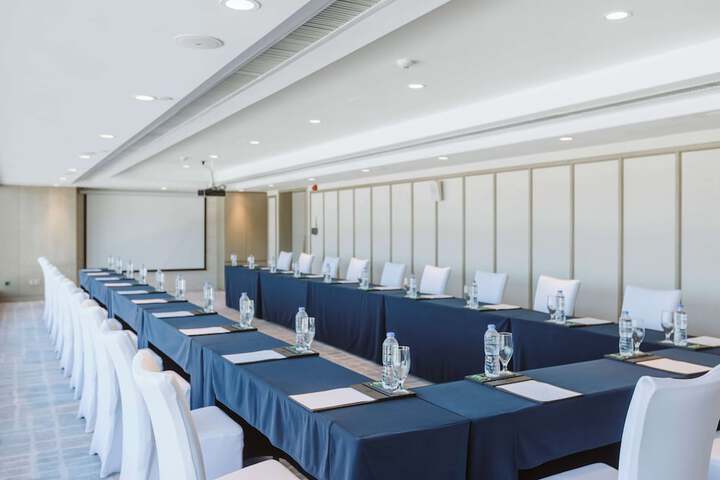 Meeting 116 of 131