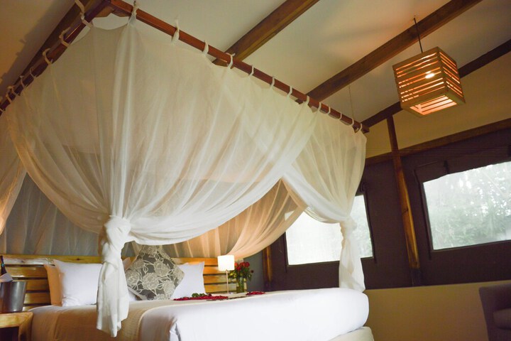 Room 10 of 50