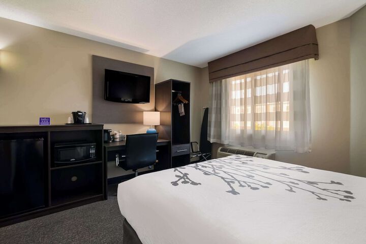 1 Queen Bed (8 of 13)