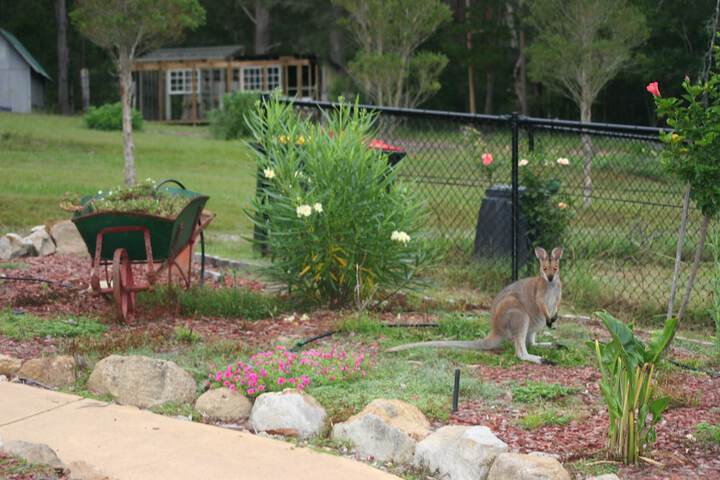 Property Grounds 18 of 21