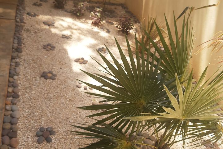 Terrace/Patio 43 of 45