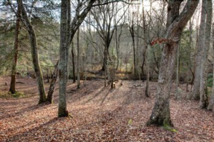 Property Grounds 14 of 21