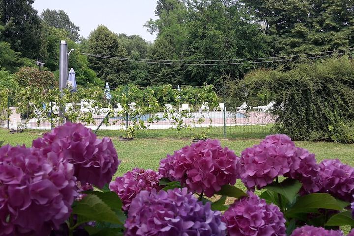 Pool 26 of 52
