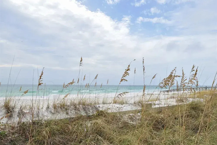 Beach 20 of 31