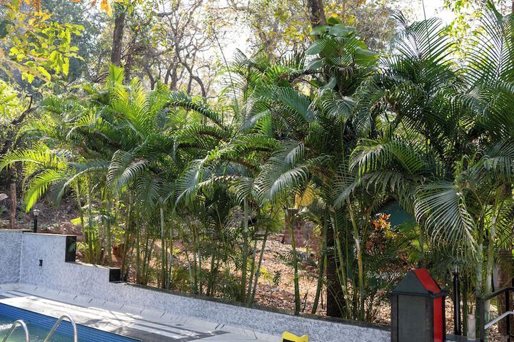 Pool 52 of 70