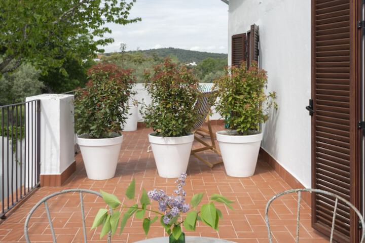 Terrace/Patio 22 of 39
