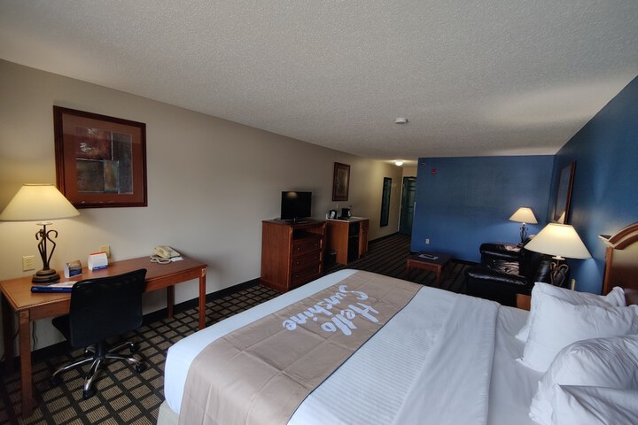 1 King Bed Business Room (3 of 25)