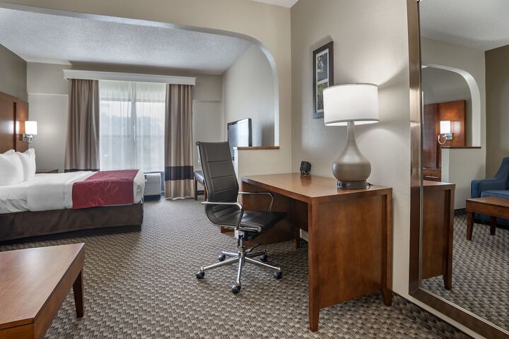 Suite King Bed Accessible (19 of 23)