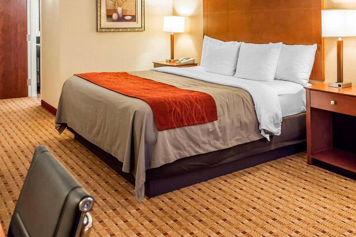 1 King Bed (9 of 16)