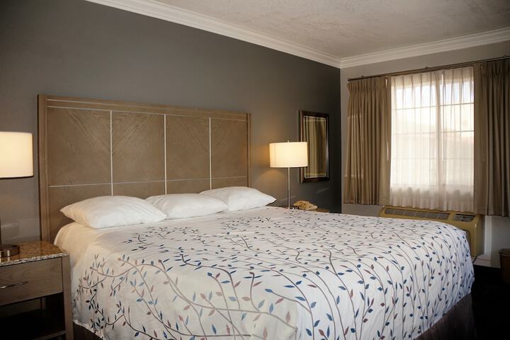 1 King Bed (5 of 14)