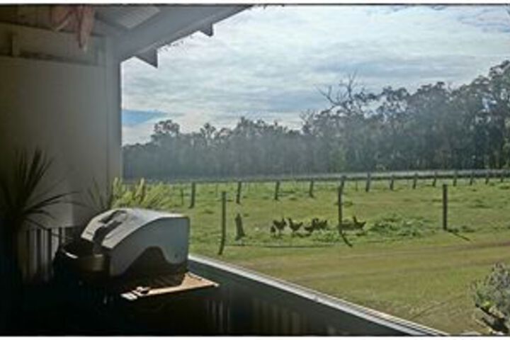 Property Grounds 4 of 62