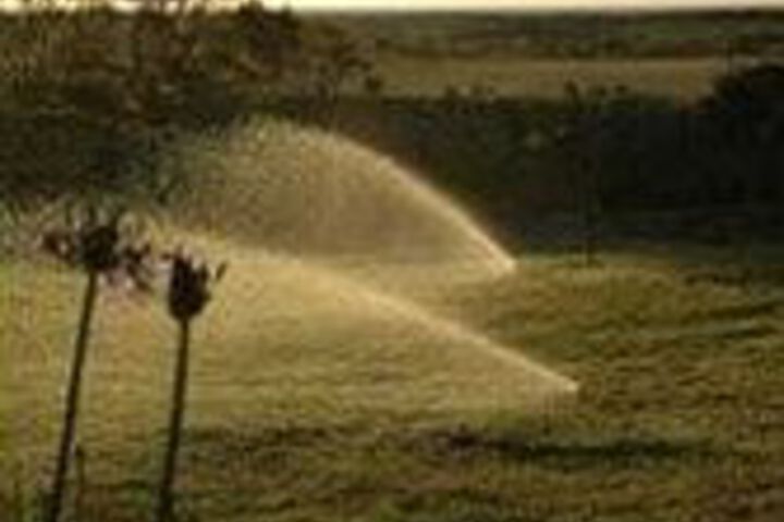 Property Grounds 31 of 34