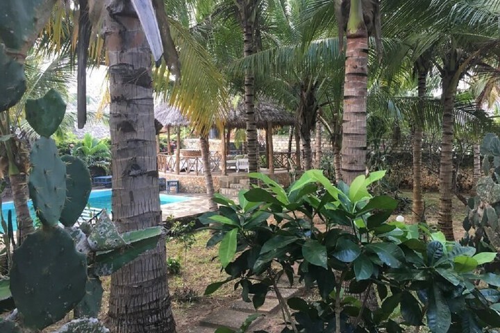 Pool 15 of 29