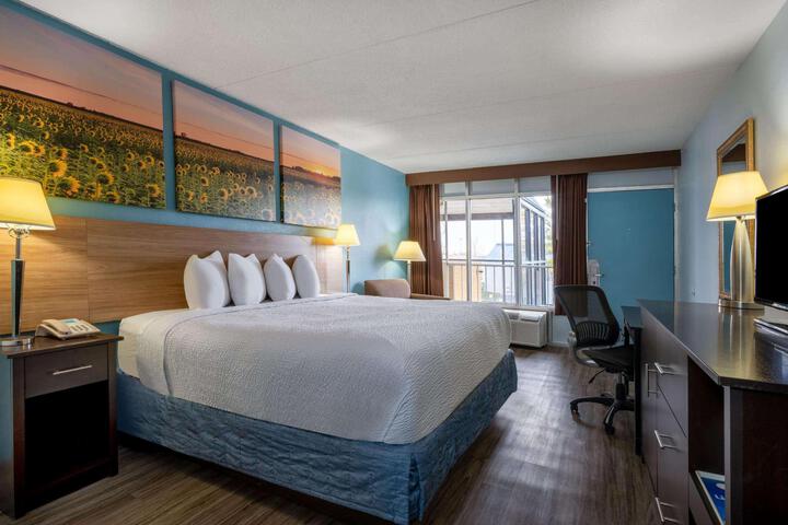 1 King Bed (3 of 10)