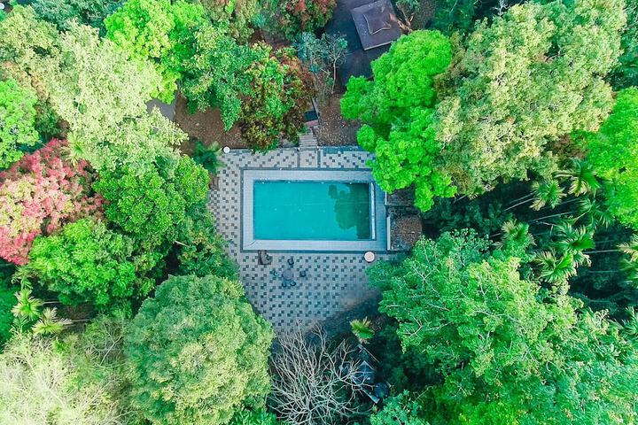Vythiri Wild Forest Resort in Vythiri