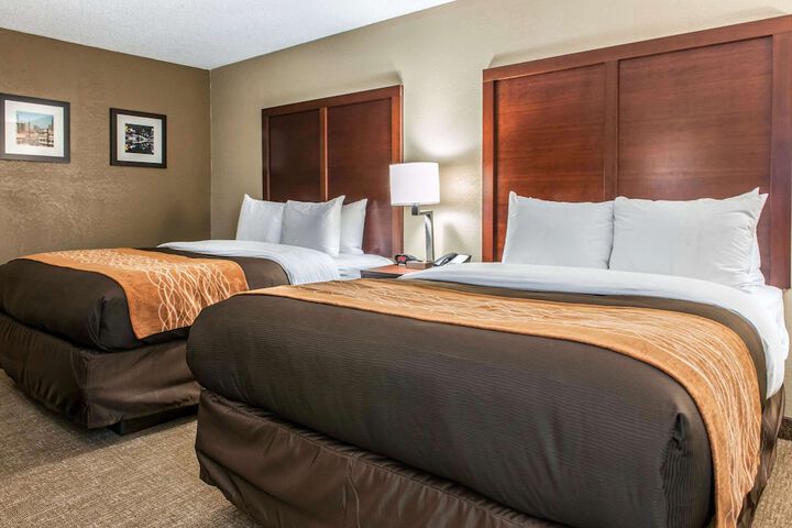 2 Queen Beds (4 of 7)